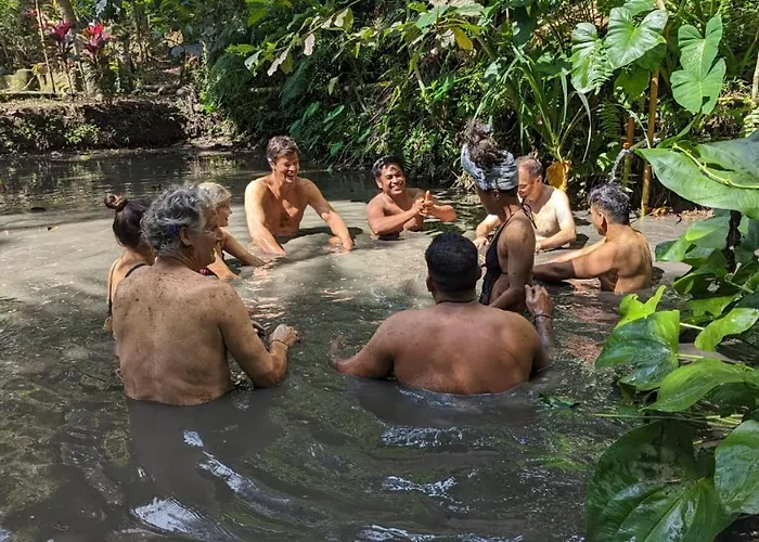 Lodge Jungle Therapy