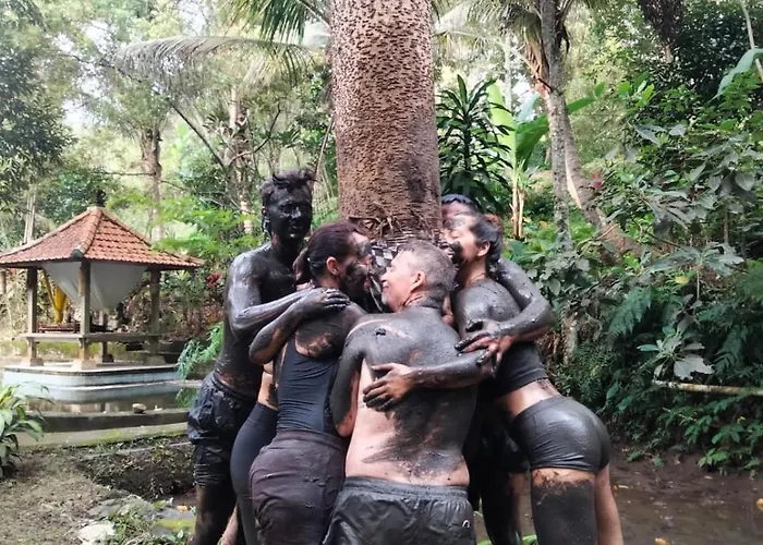 Jungle Therapy Mayong