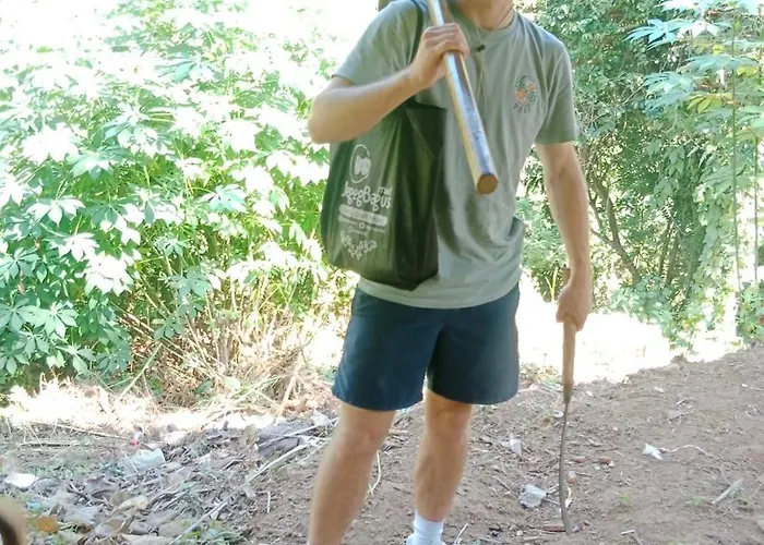 Jungle Therapy Lodge