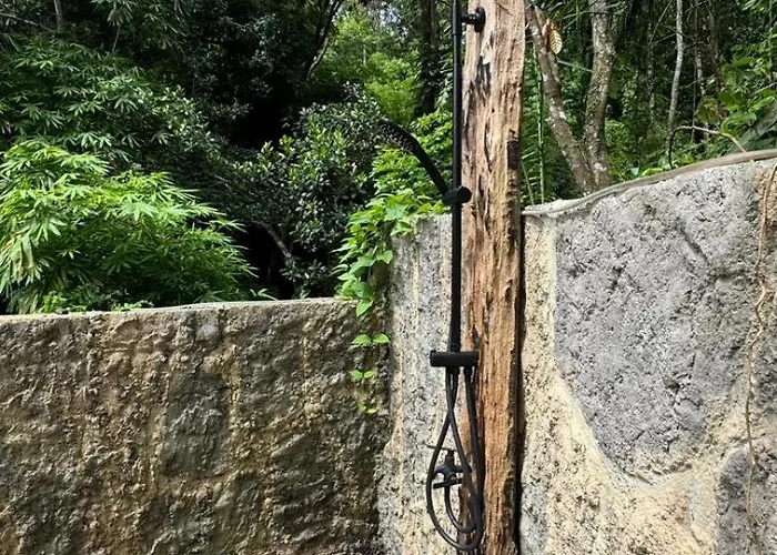 Jungle Therapy