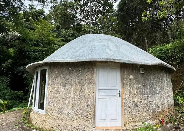 Jungle Therapy Lodge